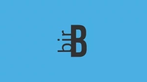 birblog genel