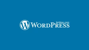 WordPress